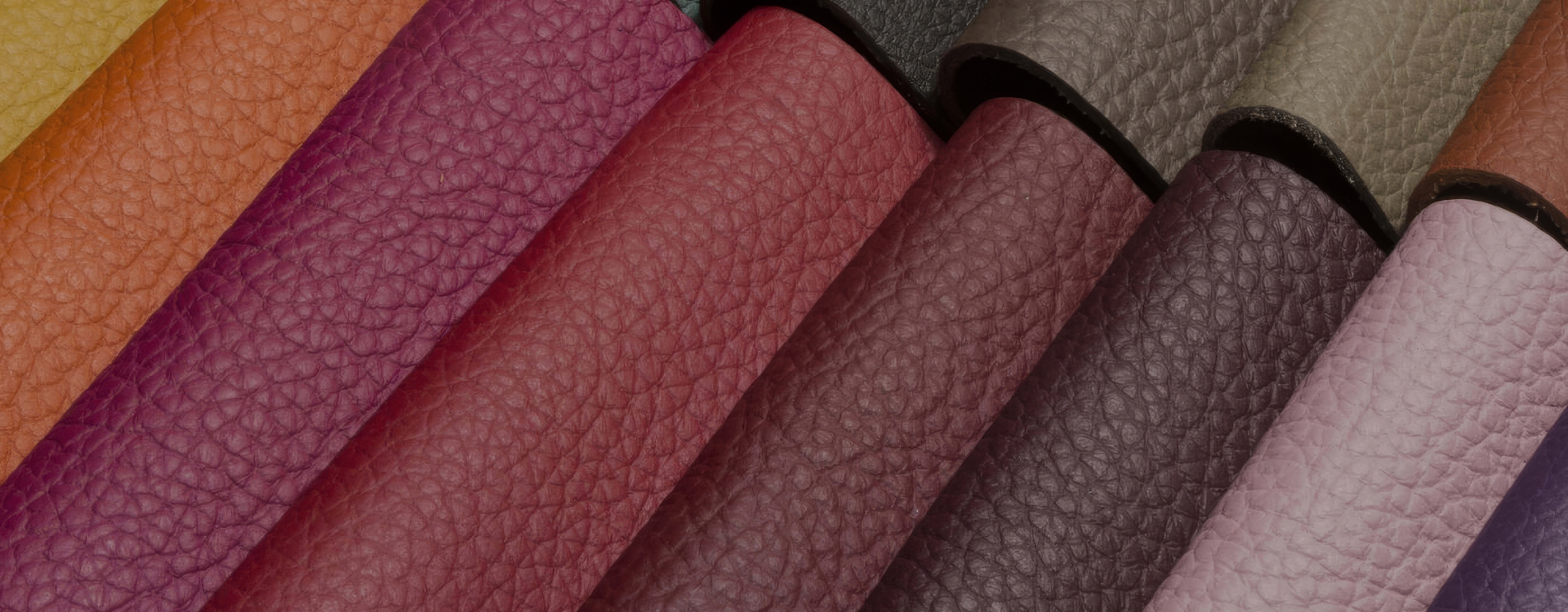 slider image slider_item_7WFdQ4